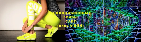 стафф Богданович